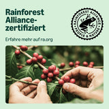 od Amazon Lungo Aluminium-Kaffeekapseln, kompatibilní s Nespresso, mittelgeröstet, 100 Stück (5 Packungen mit je 20 Stück) – Rainforest Alliance zertifiziert