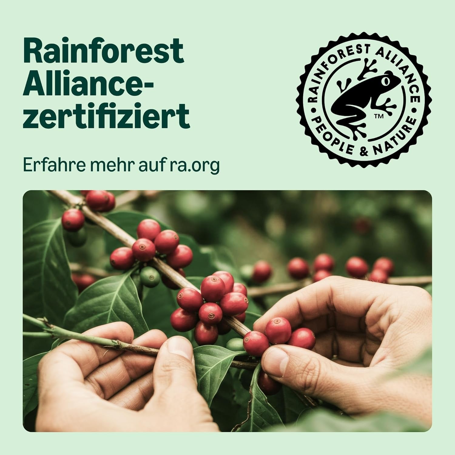 od Amazon Lungo Aluminium-Kaffeekapseln, kompatibilní s Nespresso, mittelgeröstet, 100 Stück (5 Packungen mit je 20 Stück) – Rainforest Alliance zertifiziert
