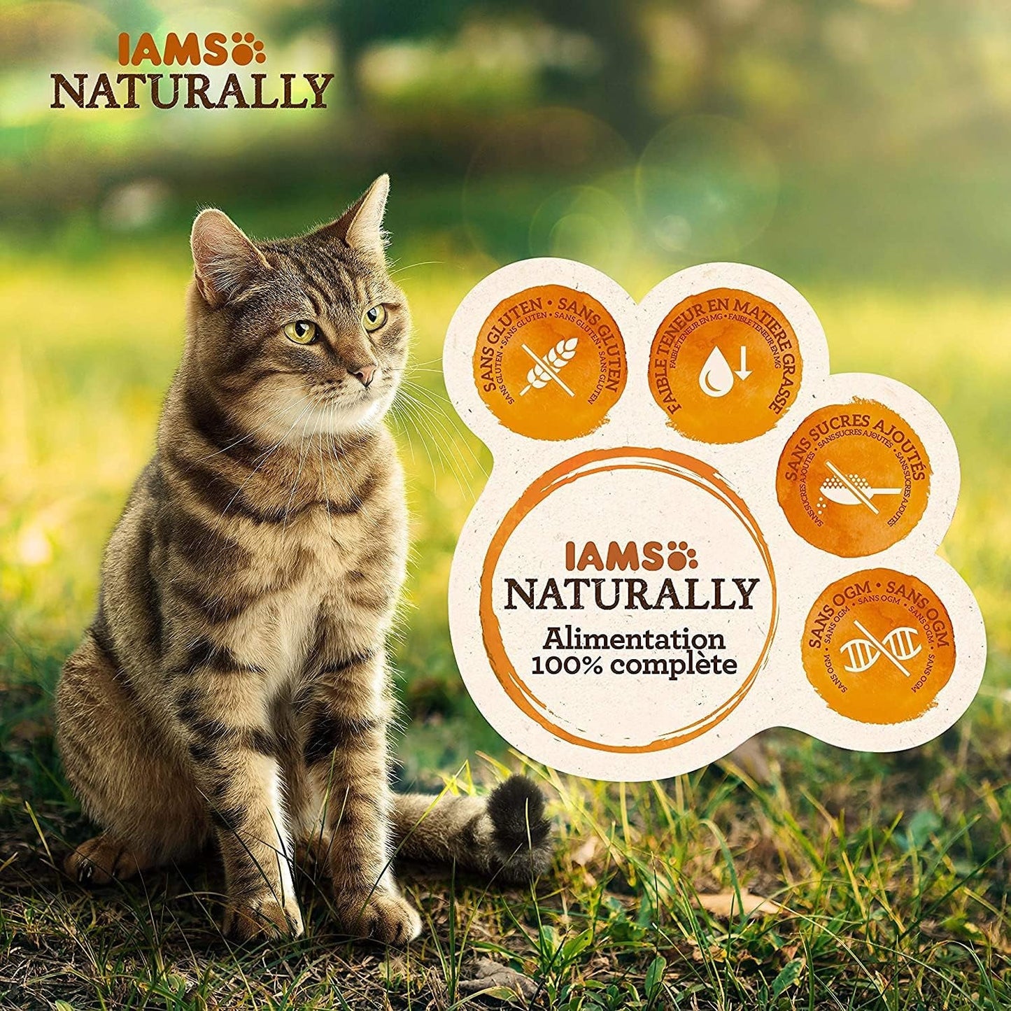 IAMS Přírodní mokré krmivo pro kočky v omáčce – vysoce kvalitní mokré krmivo s rybami pro dospělé kočky, Sea Collection, 12 x 85 g