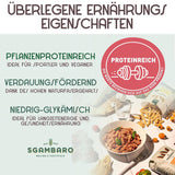 Bio těstoviny Trivelline N.47 - 500g se špaldovou moukou, čočkovou moukou a quinoa moukou - Bohaté na bílkoviny, zdroj vlákniny a bílkovin