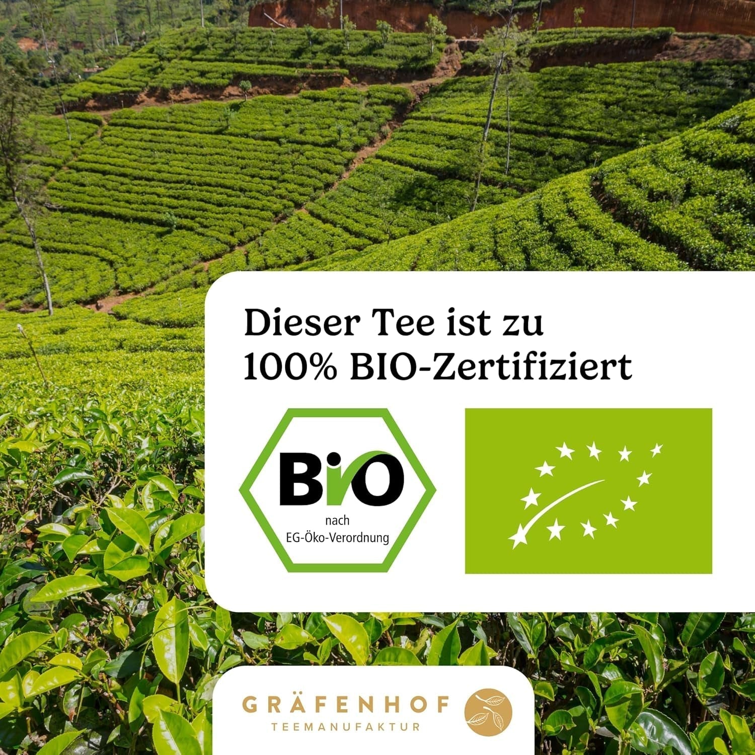 Organický čaj Yerba Maté Originální 1 kg sypaný čaj Maté s vysokým obsahem kofeinu Nepražené na vzduchu Sušené v laboratoři Testované listy maté balené v Německu Prvotřídní kvalita Gräfenhof