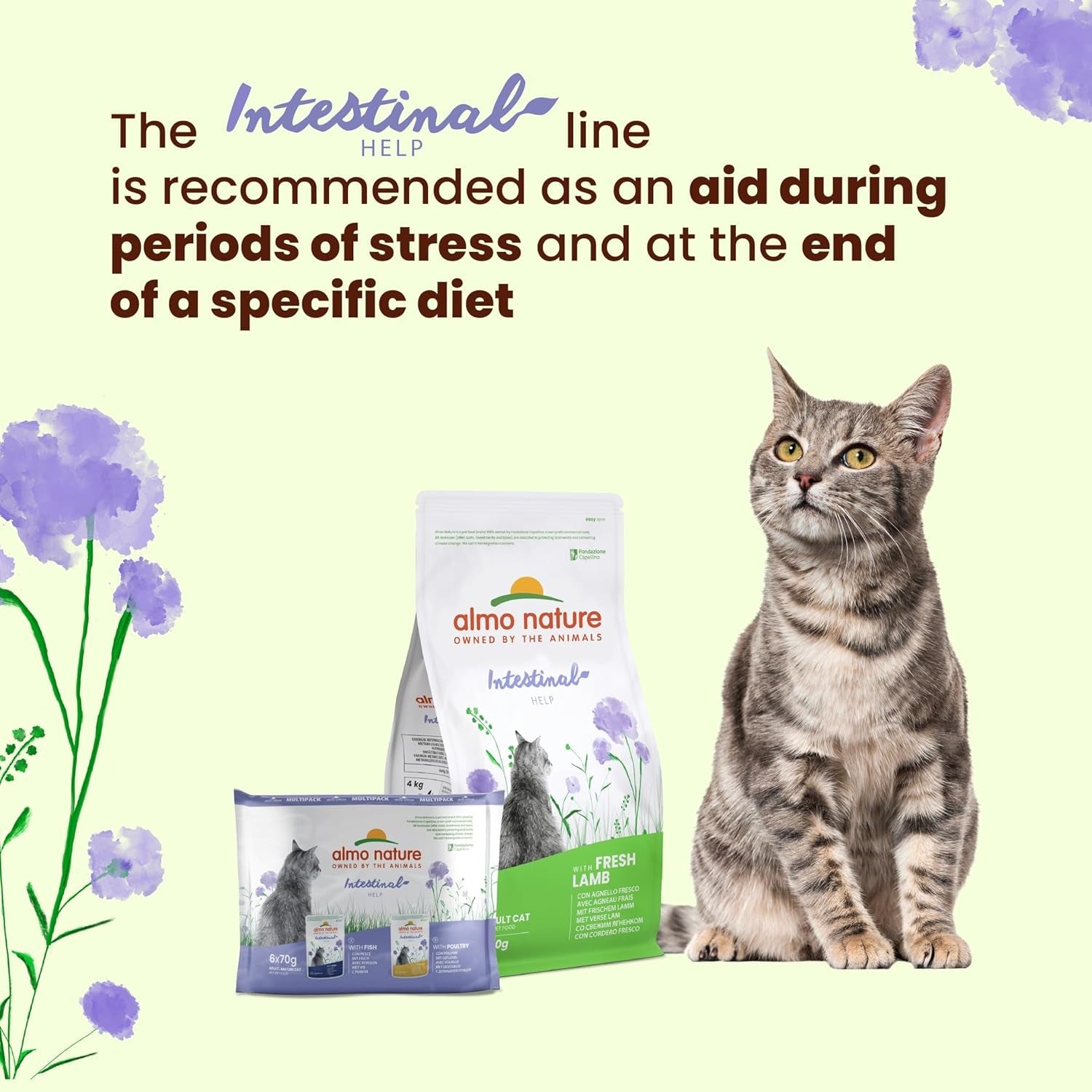 Almo Nature Functional - Intestinal Help - Mokré krmivo pro dospělé a zralé kočky s citlivými střevy - s drůbeží - podporuje mikrobiom - 70 g (balení 30 ks)
