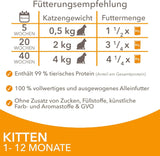 IAMS Delights Kitten Nassfutter - Multipack Katzenfutter mit Hunn in Sauce, vysoce kvalitní Futter für Junior Kätzchen von 1-12 Monate, 12 x 85 g