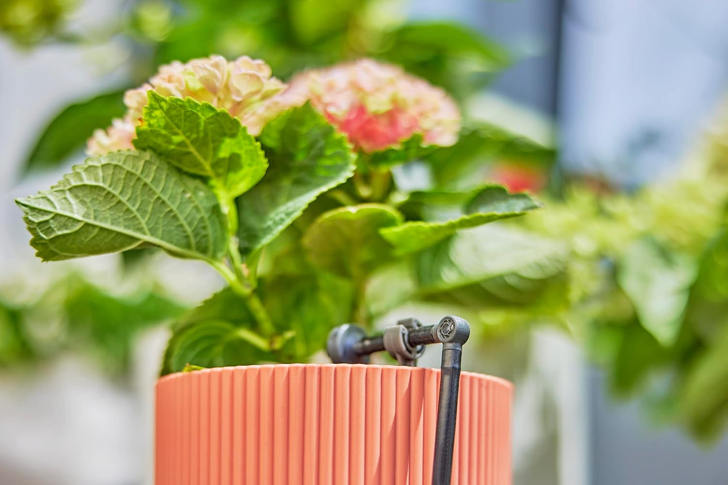 L-kus pro Gardena Micro-Drip 4,6 mm (3/16 palce): Pro změnu směru distribuce a odkapávacích vedení o 90 stupňů, instalace bez zauzlování, snadná a flexibilní technologie připojení (13212-20)