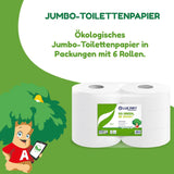 Jumbo Eco role toaletního papíru, 2 vrstvy, krém na mytí rukou s čistícím, hydratačním a vyhlazujícím složením - květinová vůně - 5 l, 6 kusů (1 balení)