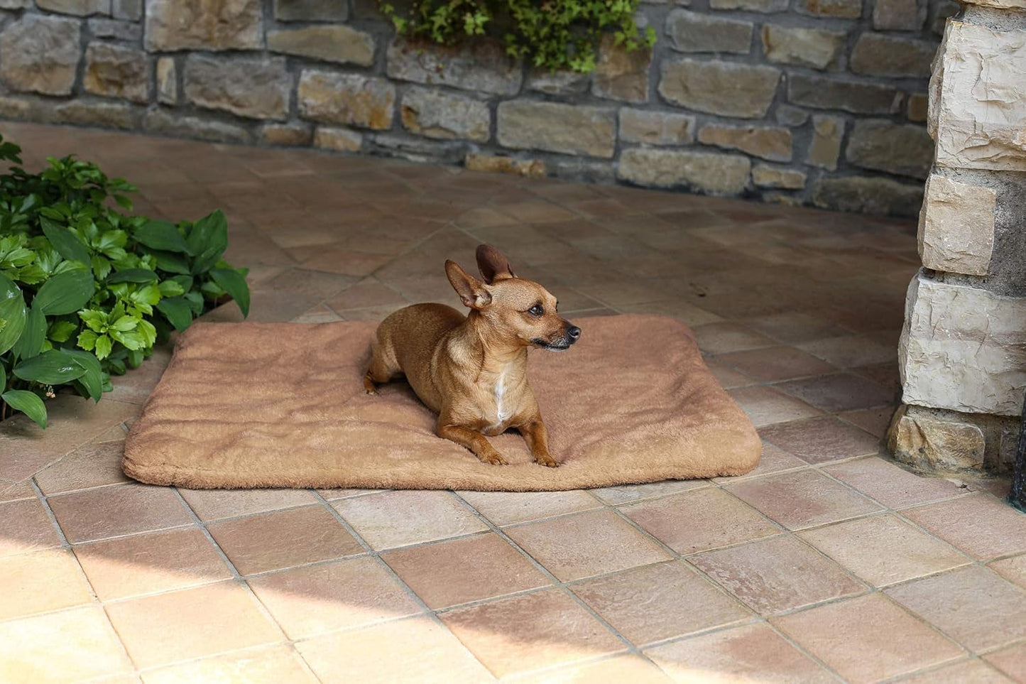Sogni E Capricci Super Soft Mat, Krémová, 104X75CM, Polyester, Přikrývky a přikrývky Naty Shop Brown 62X50Cm