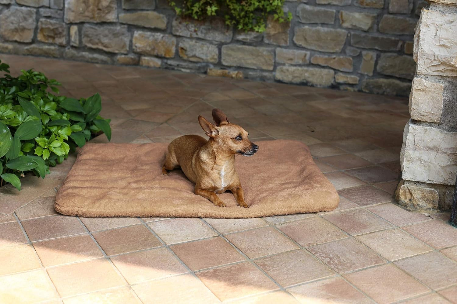 Sogni E Capricci Super Soft Mat, Krémová, 104X75CM, Polyester, Přikrývky a přikrývky Naty Shop Brown 62X50Cm