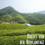KLUIZ Gyokuro Tokiwa bio - První ručně sbíraná sklizeň - Japonský zelený čaj I 100 gramů I Bio zelený čaj
