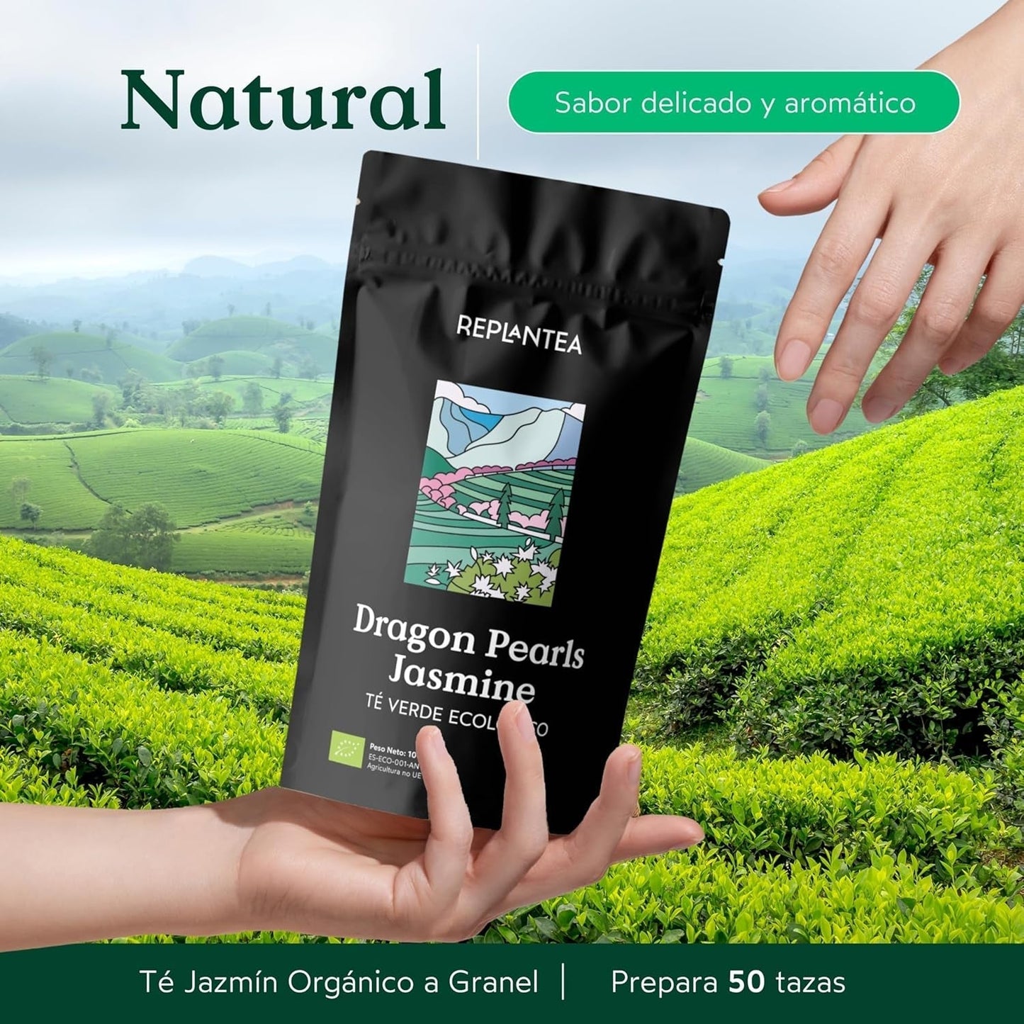 Bio čaj Jasmin Dragon Pearls (100 g) | Prémiový zelený čaj ve formě ručně rolovaných jasmínových perel | Čajová specialita s jemnou květinovou vůní | PŘESADIT