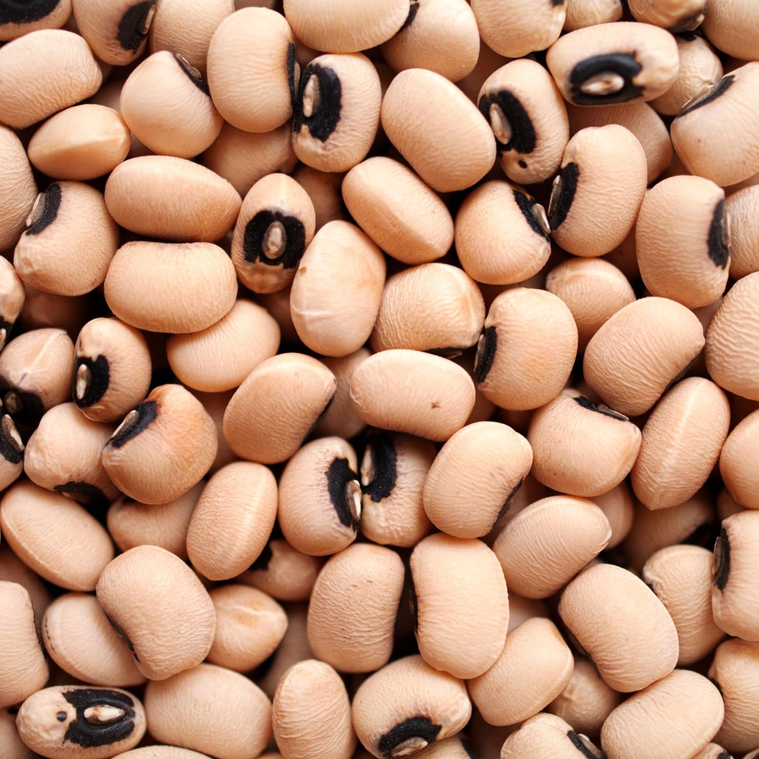 AFROASE - Hrách černooký - 1 x 1 kg