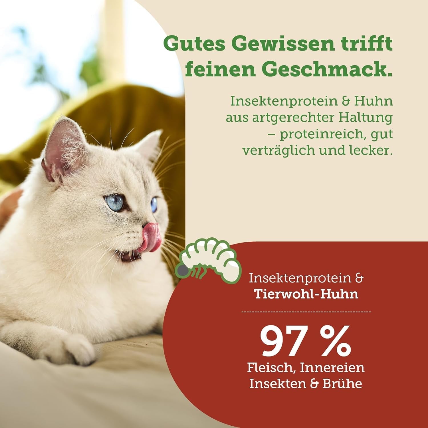 MERA Cats Nature Insect Premium Katzenfutter Nass 12x85g | ohne Zucker und Getreide| Nachhaltig & mit viel Insektenprotein | Dospělý Katzennassfutter