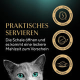 SHEBA Filé pro dospělé Katzenfutter v omáčce s kuřecím masem, Hochseefisch und Garnelen 16 x 60 g skořápka
