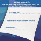 LINEA by Böhmerwald - Cosy - Vysoce kvalitní polštář Balance, 40X80, 70% peří třídy 1, 30% nové prachové peří, vhodné pro alergiky, lze prát do 60°C, vyrobeno v Německu Standardní polštáře Naty Shop