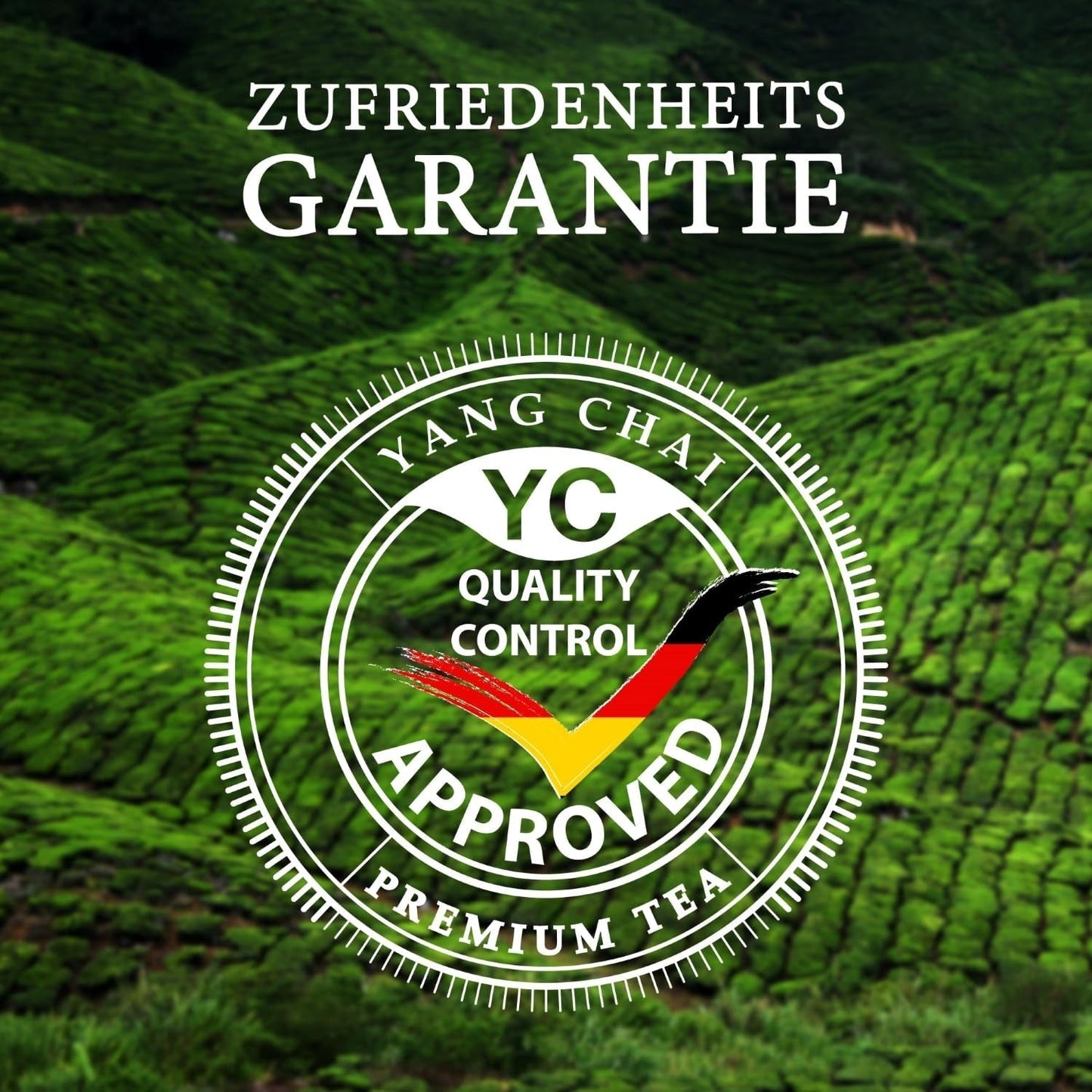 YC Yang Chai Sencha Green Tea BIO 250G - Japonský sypaný čaj s příchutí bergamotu - Originální japonský zelený čaj "Sencha Dynasty" z kontrolovaného ekologického pěstování