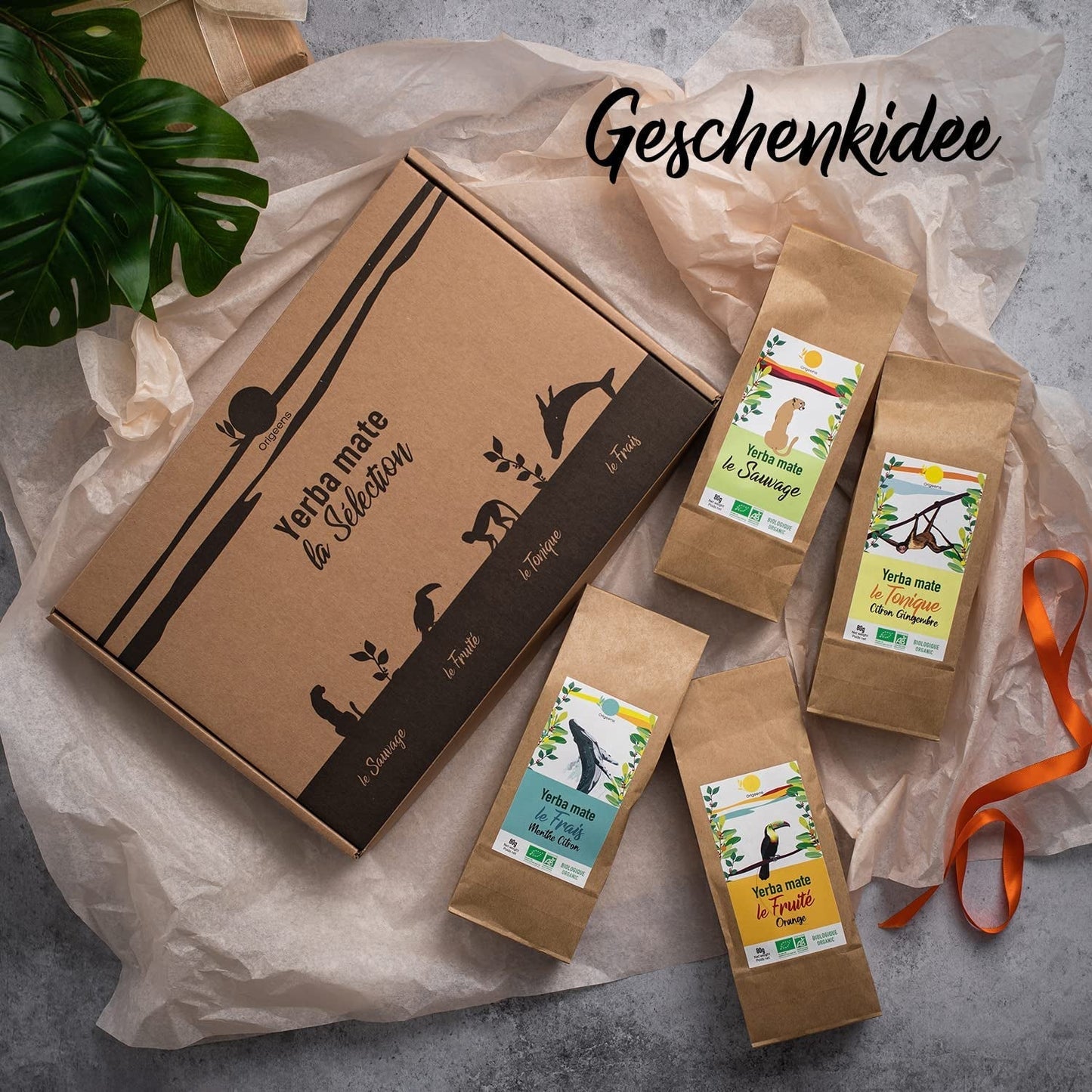 ORIGEENS BIO MATE ČAJOVÁ DÁRKOVÁ SADA X4 I Yerba Mate Bio 4X80G I Yerba Mate čajová sada, tip na dárek