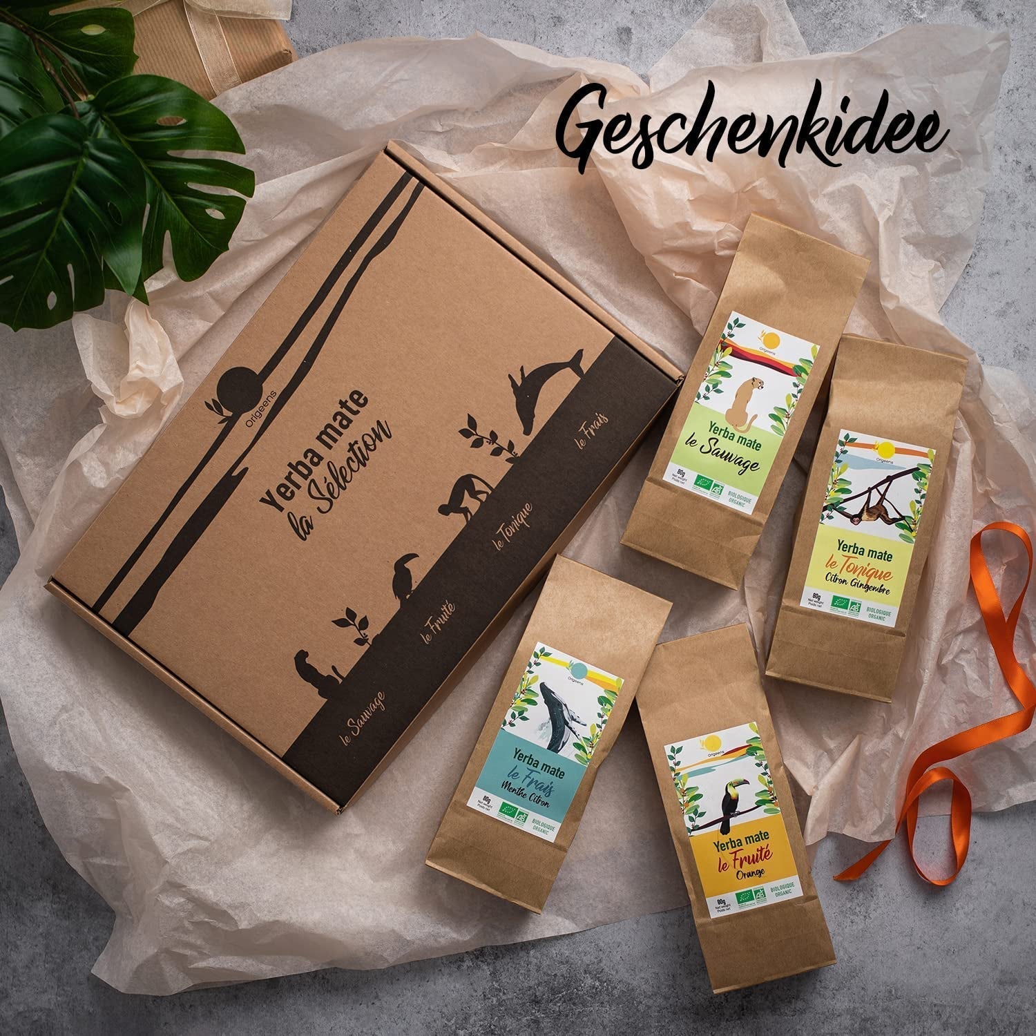 ORIGEENS BIO MATE ČAJOVÁ DÁRKOVÁ SADA X4 I Yerba Mate Bio 4X80G I Yerba Mate čajová sada, tip na dárek