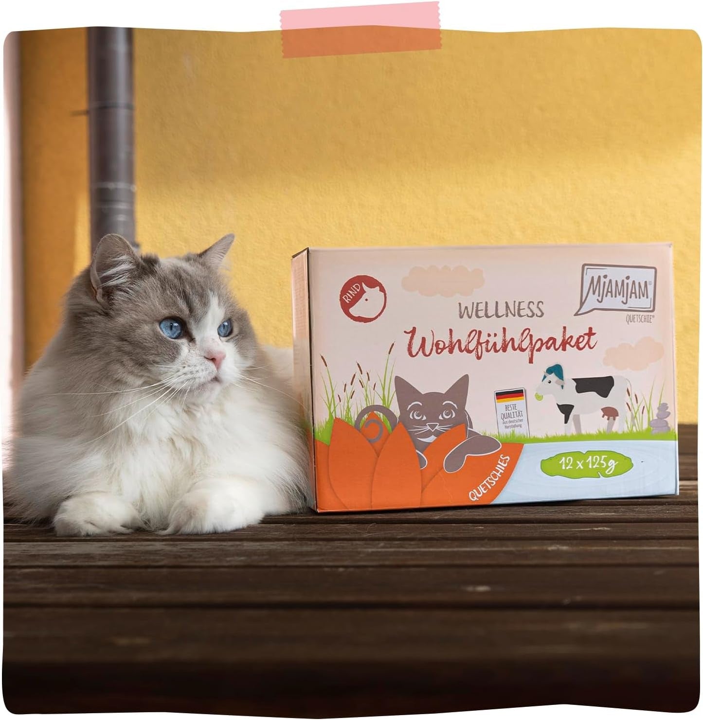 MjAMjAM - prémiové mokré krmivo pro kočky - wellness balíček hovězí maso, balení 12 ks (12 x 125 g), bez obilovin s extra masem