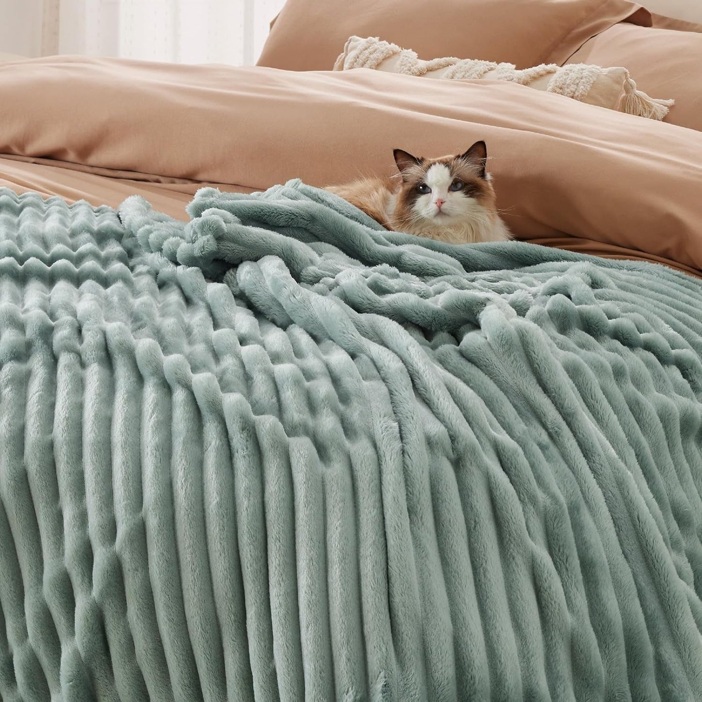 BEDSURE Šalvějová zelená fleecová deka na pohovku - Super měkké útulné deky pro ženy, roztomilá malá deka pro dívky, 127 X 152 cm Postele a deky Beuche den BEDSURE-Store