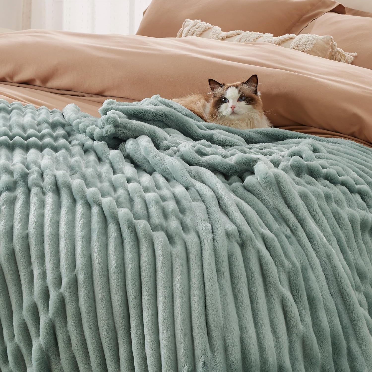 BEDSURE Šalvějová zelená fleecová deka na pohovku - Super měkké útulné deky pro ženy, roztomilá malá deka pro dívky, 127 X 152 cm Postele a deky Beuche den BEDSURE-Store