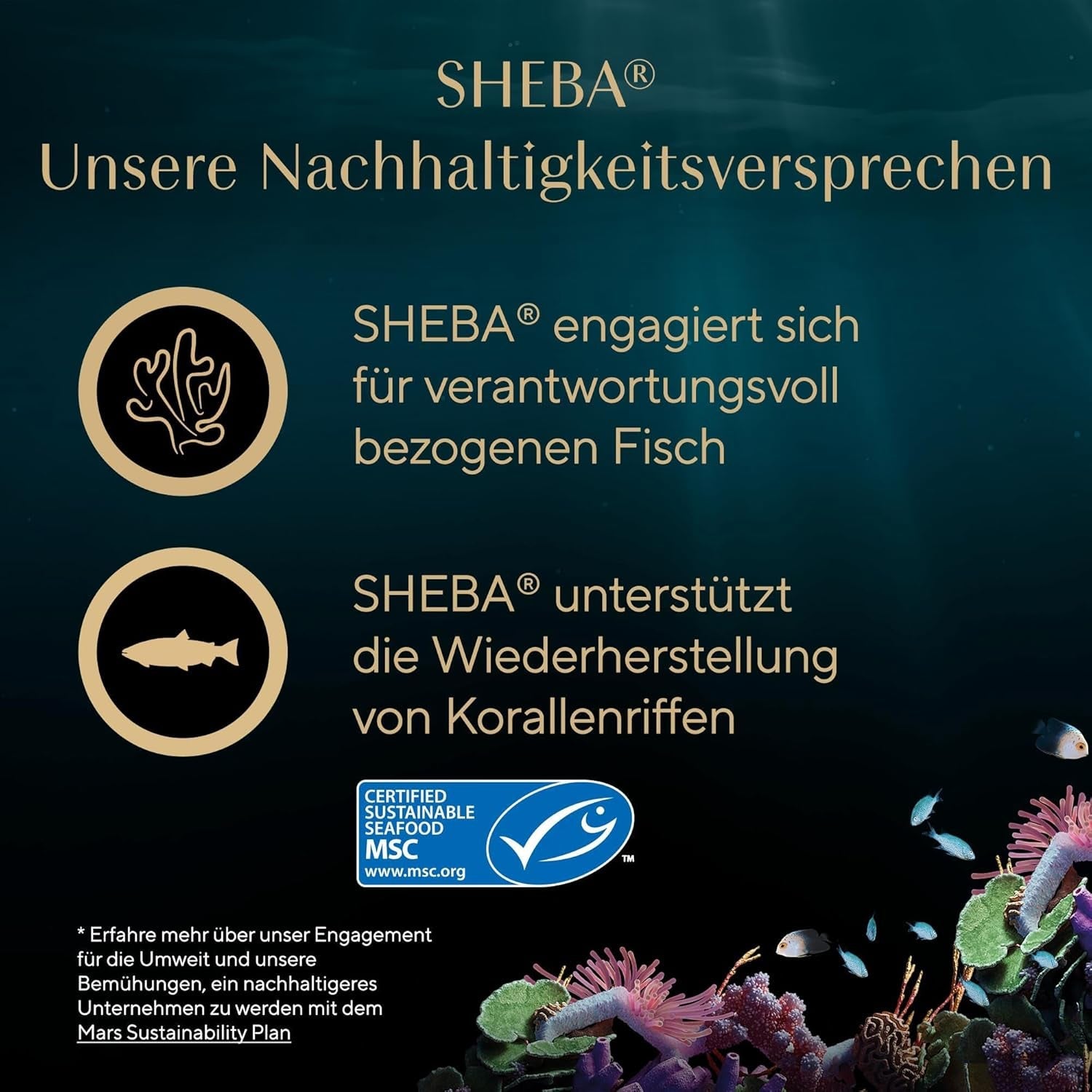 SHEBA Filé pro dospělé Katzenfutter v omáčce s kuřecím masem, Hochseefisch und Garnelen 16 x 60 g skořápka