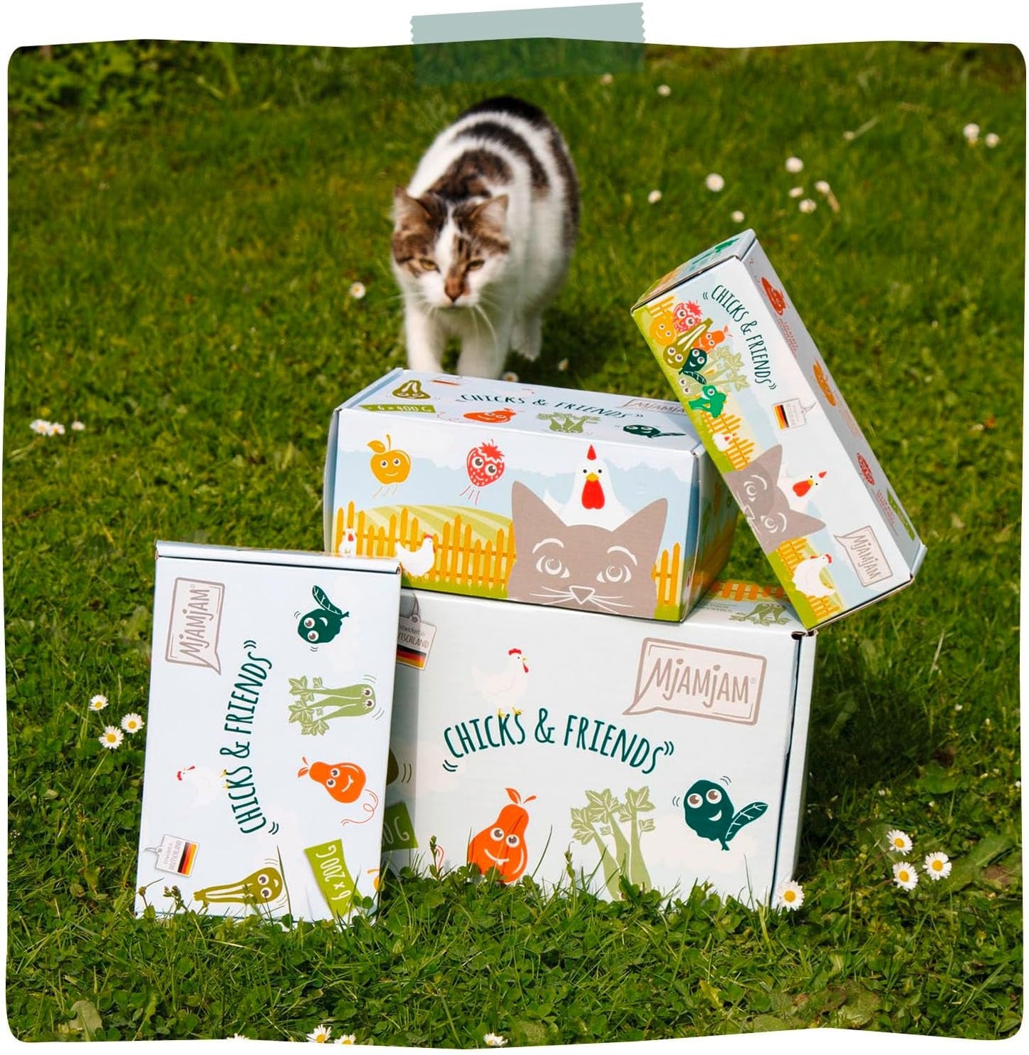 MjAMjAM - Premium Nassfutter für Katzen - Chicks & Friends Box, 9er Pack (9 x 300 g), getreidefrei mit extra Fleisch