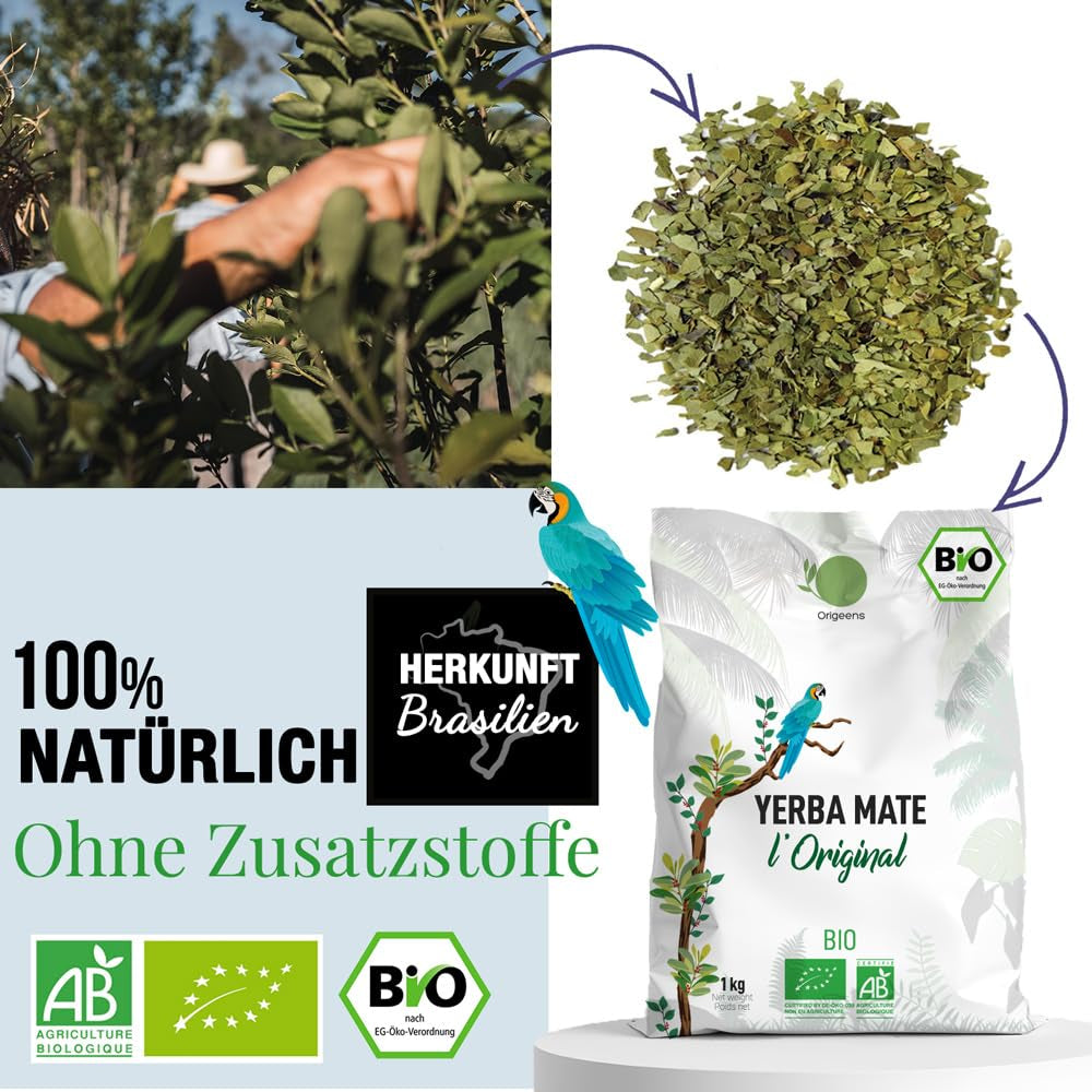 ORIGEENS BIO YERBA MATE TEA 1 KG - The Original I Nepražený, listy, bez stonků, prachu a drobků I Energizující a detoxikační nápoj