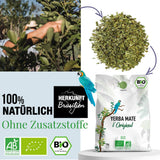 ORIGEENS BIO YERBA MATE TEA 1 KG - The Original I Nepražený, listy, bez stonků, prachu a drobků I Energizující a detoxikační nápoj