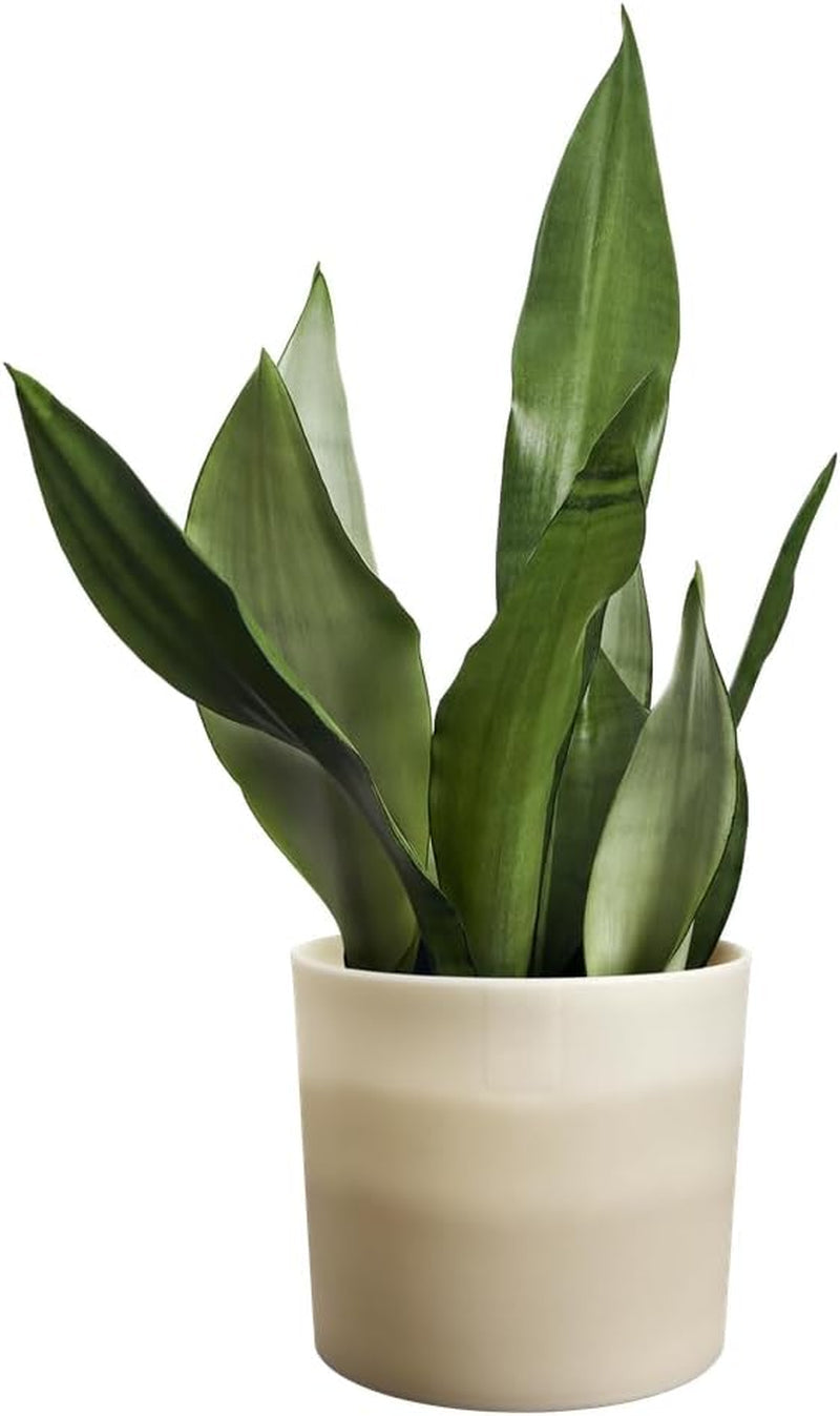 Kulatý hrnec elho Color Gradient 16cm - pro vnitřní použití - 100% recyklovaný plast - Ø 15,9 x H 14,7 - béžová/béžová kamenina