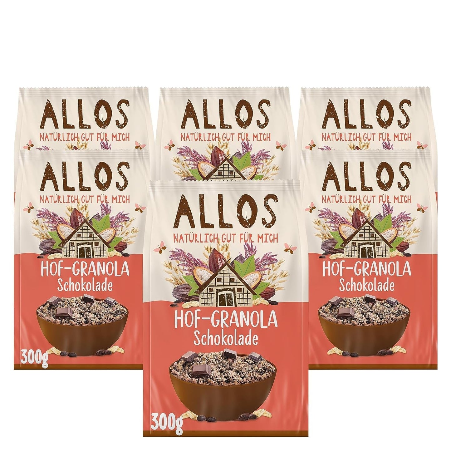Allos Hof Granola s ovocem | Bio müsli | Müsli s ovocem | Křupavé müsli | Cereálie k snídani | Balení po 6 (6 x 300 g), 1 kus (balení po 6)