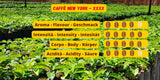 Caffè New York - XXXX - Celozrnná káva - 1000g