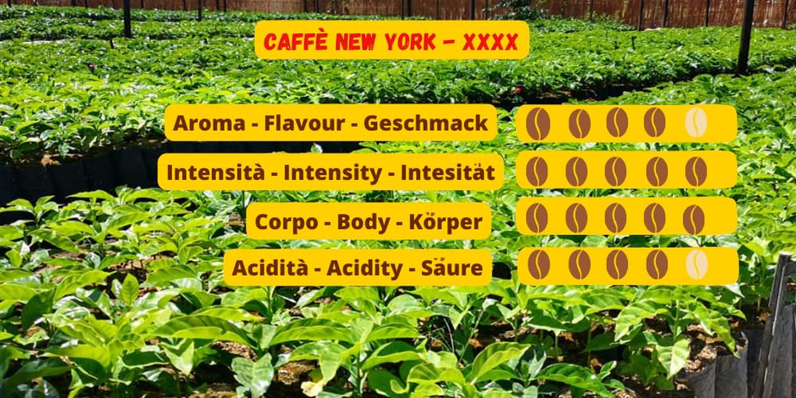 Caffè New York - XXXX - Celozrnná káva - 1000g