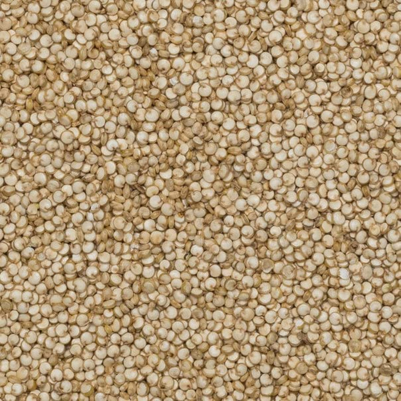Wholefood Earth Bio zrna Quinoa – 2 kg | Krutý | Bez GMO | Vegan | Bohaté na vlákninu | Certifikované organické