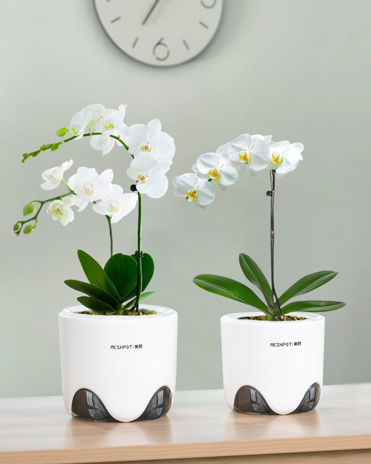 Květináč na orchidej s drenážními otvory pro přesazování, výborná cirkulace vzduchu, 2 kusy, dvouvrstvý plast, keramický květináč na orchidej, průhledný květináč na orchidej, dekorativní
