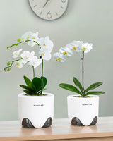 Květináč na orchidej s drenážními otvory pro přesazování, výborná cirkulace vzduchu, 2 kusy, dvouvrstvý plast, keramický květináč na orchidej, průhledný květináč na orchidej, dekorativní