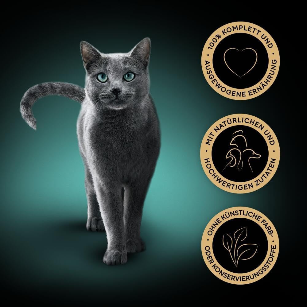SHEBA Mokré krmivo pro kočky - 72 sáčků x 85 g - Drůbež v želé - Mokré krmivo pro kočky - 1 velké balení
