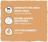 Sammyho müsli mince | Křupavé pečené svačiny pro psy | 5 obilných müsli mincí pro vašeho velkého chlupatého přítele (30 kg+) | 1 kg