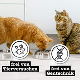Mokré krmivo pro kočky Catz Finefood Purrrr Sheep Monoprotein no. 113, pro kočky s citlivým zažíváním, 70% obsah masa, 16 sáčků po 85 g
