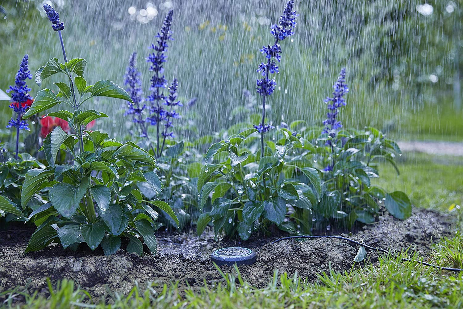 Prodlužovací kabel Gardena (10 m) pro dešťové čidlo a čidlo půdní vlhkosti, propojovací kabel se systémem Easy Click, rozšiřitelný až na 105 m, pro použití nad i pod zemí (01868-20)