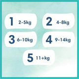Dětské plenky Pampers, velikost 2 (4-8 kg), Harmony, Half Moon Box, Jemná ochrana pokožky a bylinné ingredience, Počet 240