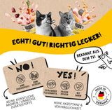 Dogs'n Tiger Schlemmermenü Glückskind, Nassfutter für Kätzchen, saftiges Hun und Forelle - ohne Getreide, Zuckerzusatz, künstliche Konservierungsstoffe, optimální Verträglichkeit, 12x 200g