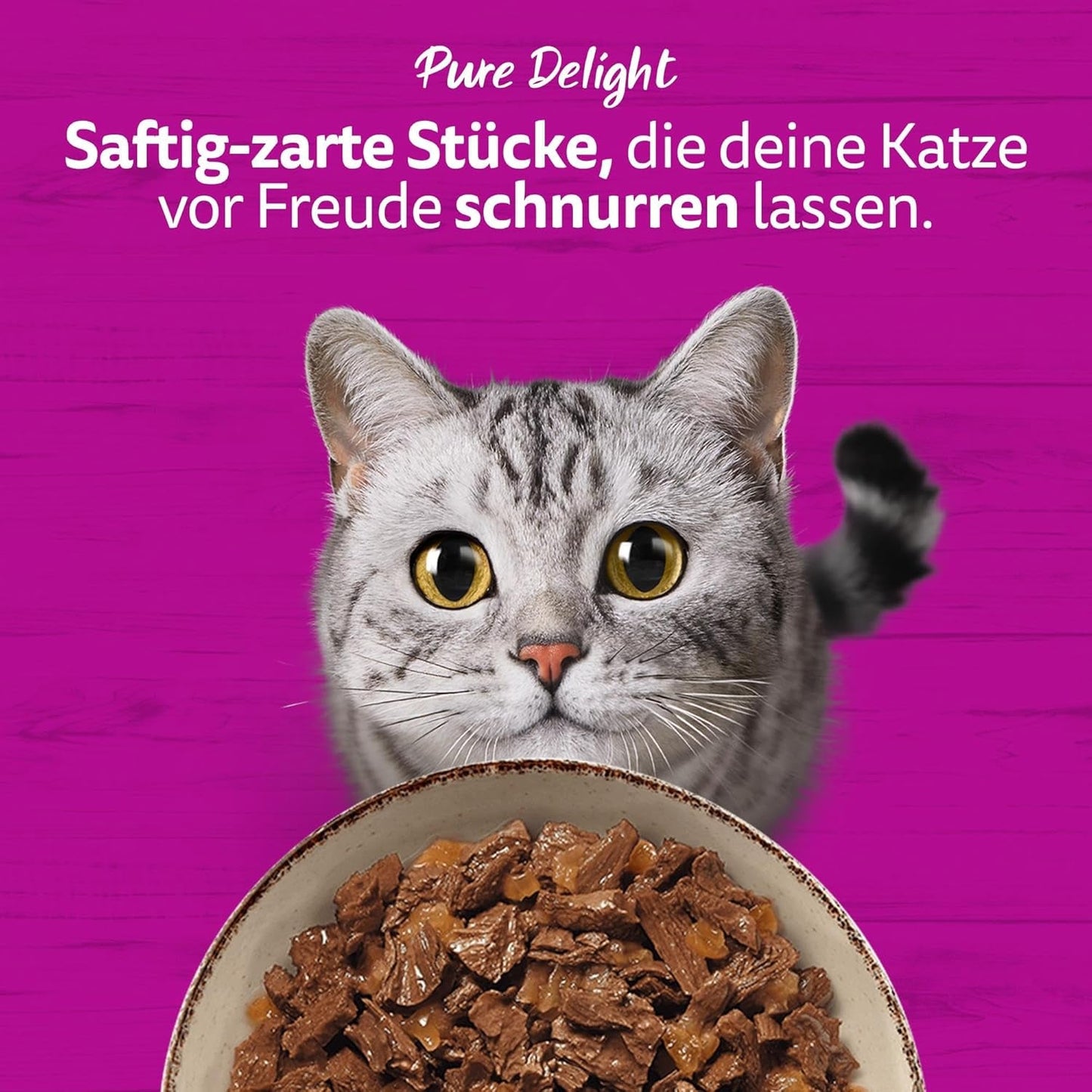 WHISKAS PURE DELIGHT Mokré krmivo v želé 24 x 85 g Klasické ragú (4 balení) 48 porcovaných sáčků