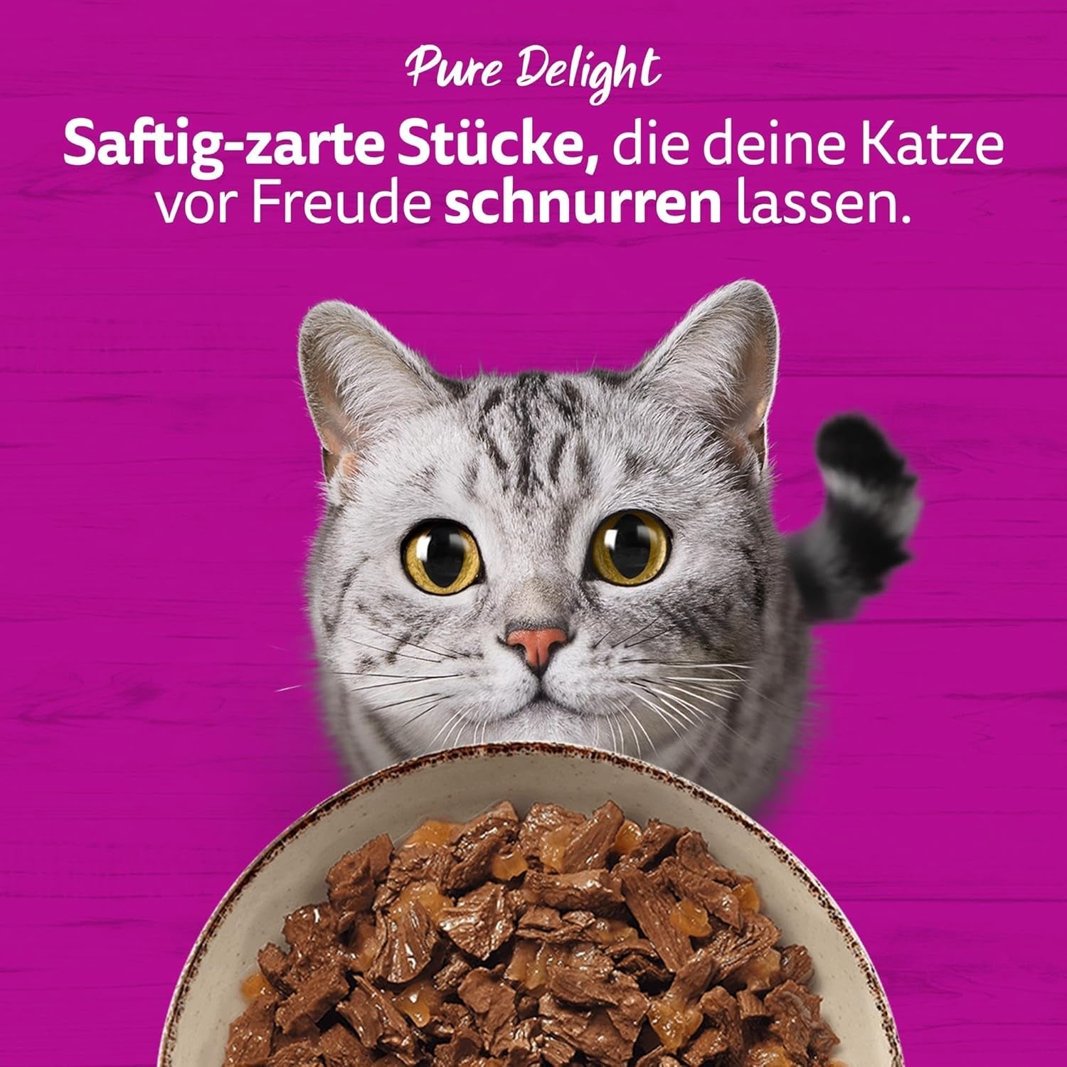 WHISKAS PURE DELIGHT Mokré krmivo v želé 24 x 85 g Klasické ragú (4 balení) 48 porcovaných sáčků