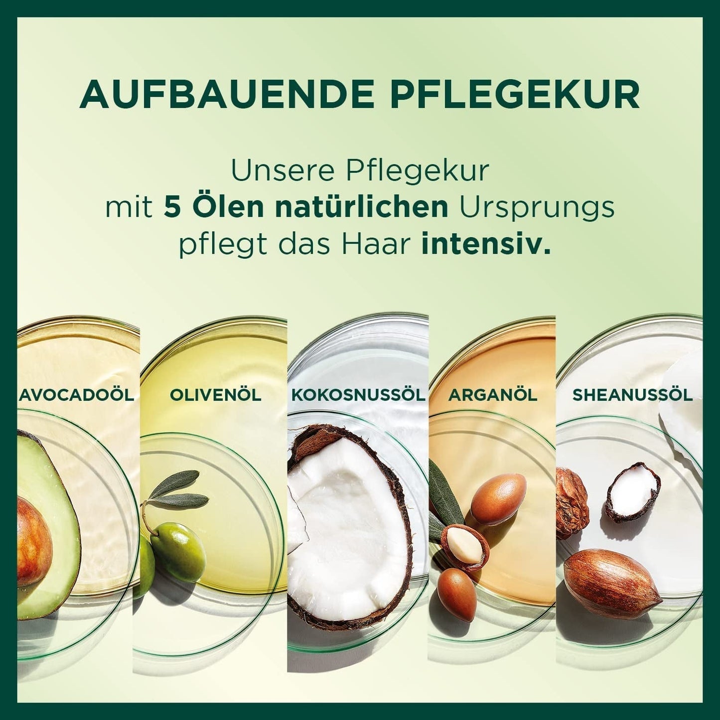 Garnier Nutrisse Permanent Care Barva na vlasy s výživnými ovocnými oleji 8týdenní Hold Color Ultra Crème Tint 053 Sametově hnědá (balení 3 ks) Barva na vlasy Naty Shop