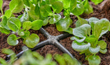 Gardena Micro-Drip-System - Křížové připojení 4,6 mm (3/16 palce): Příslušenství pro odbočné rozvody a odkapávací potrubí, instalace bez zauzlování s technologií Easy & Flexible (13214-20)