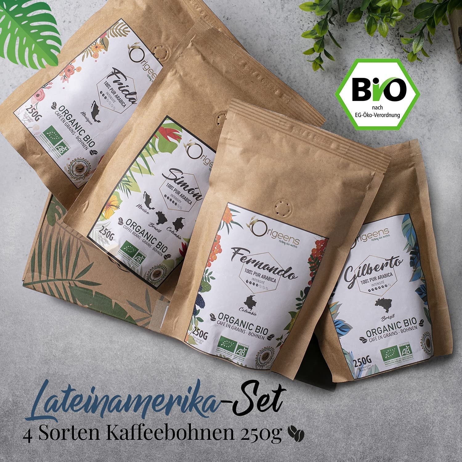 ORIGEENS Bio Kaffeebohnen Probierset 1kg | Premium Bio Arabica Kaffee Ganze Bohnen Set 4x250g | Tradiční Röstung | Kaffee Geschenkset