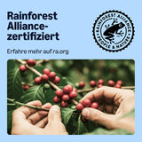 od Amazon Entkoffeinierte 100% Arabica-Kaffeepads, geeignet für Senseo-Maschinen, medium Röstung, 36 Stück (1 Packung mit 36 ​​​​Stück) – Rainforest Alliance-zertifiziert
