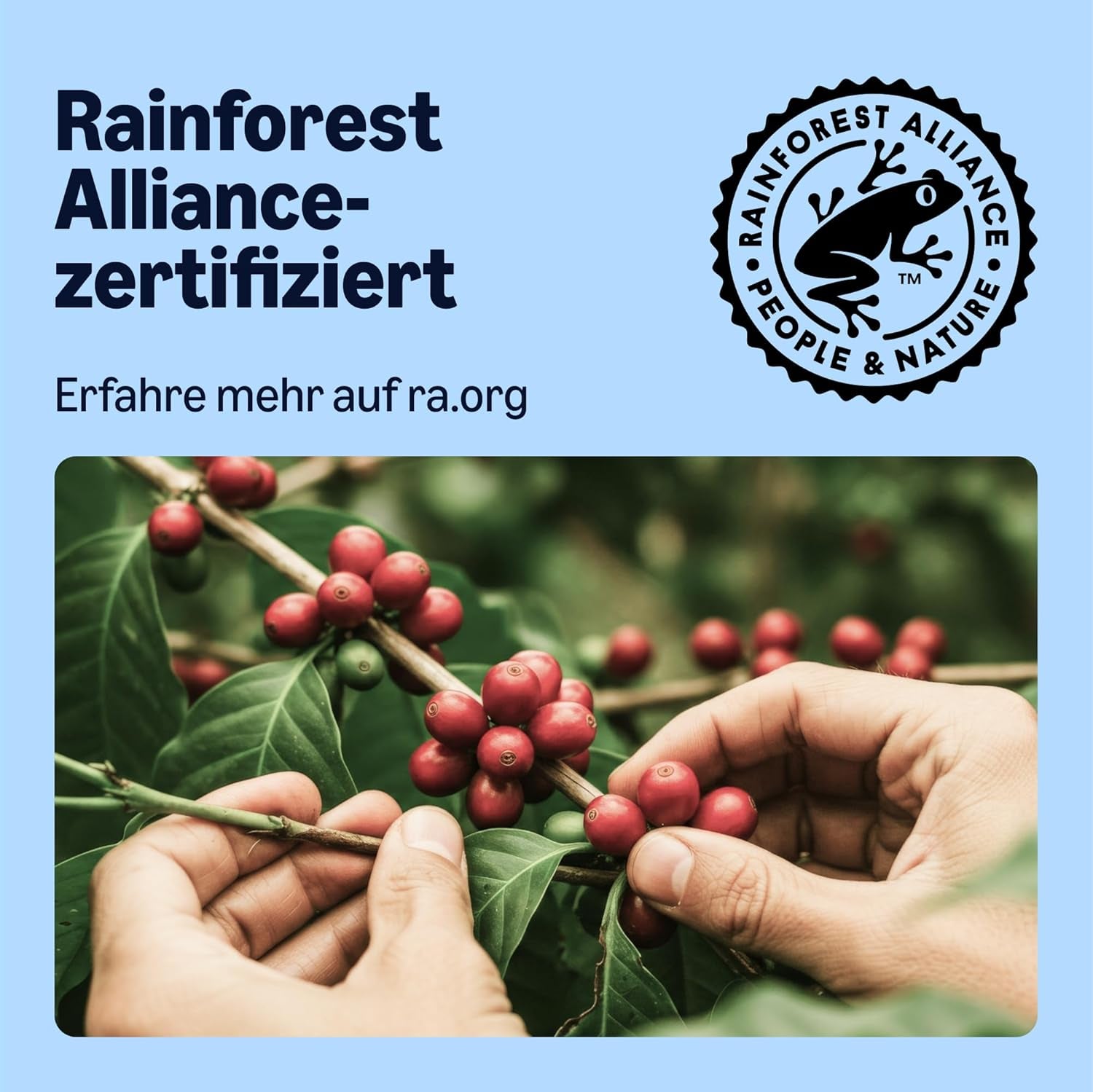 od Amazon Entkoffeinierte 100% Arabica-Kaffeepads, geeignet für Senseo-Maschinen, medium Röstung, 36 Stück (1 Packung mit 36 ​​​​Stück) – Rainforest Alliance-zertifiziert