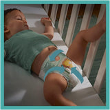 Pleny PAMPERS Baby-DRY vel. 7 123