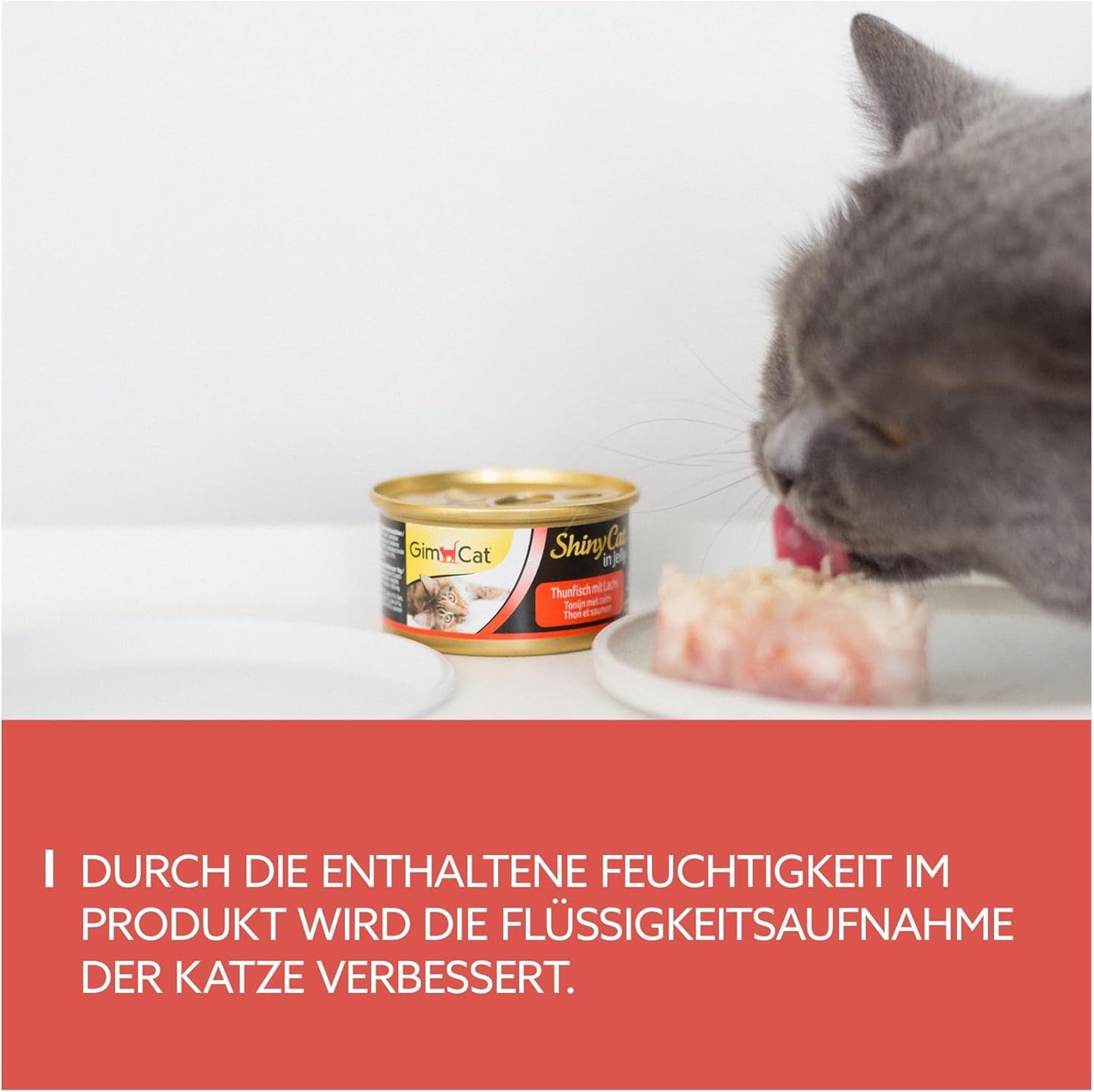 GimCat ShinyCat in Jelly Thunfisch mit Lachs - Nassfutter mit Fisch und Taurin für Katzen - 24 dávek (24 x 70 g)