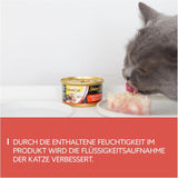 GimCat ShinyCat in Jelly Thunfisch mit Lachs - Nassfutter mit Fisch und Taurin für Katzen - 24 dávek (24 x 70 g)